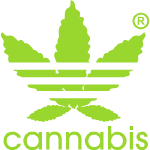 cannabis