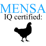 IQ mensa - Slepice