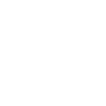 The Punisher